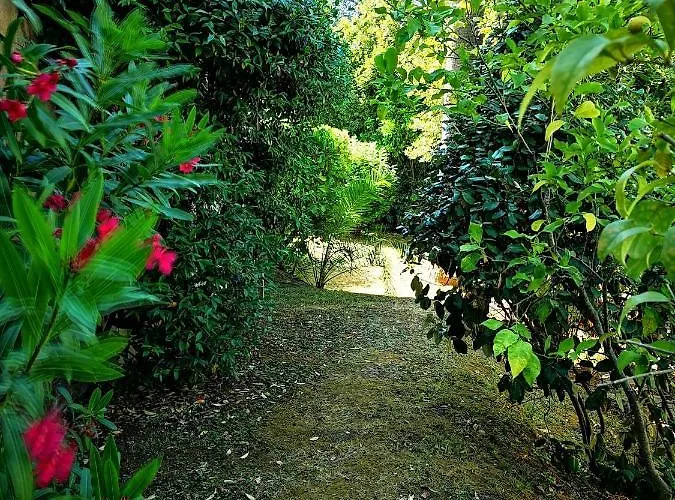 Apartment La Salis 3 Chambres, Jardin - 3 Bedrooms